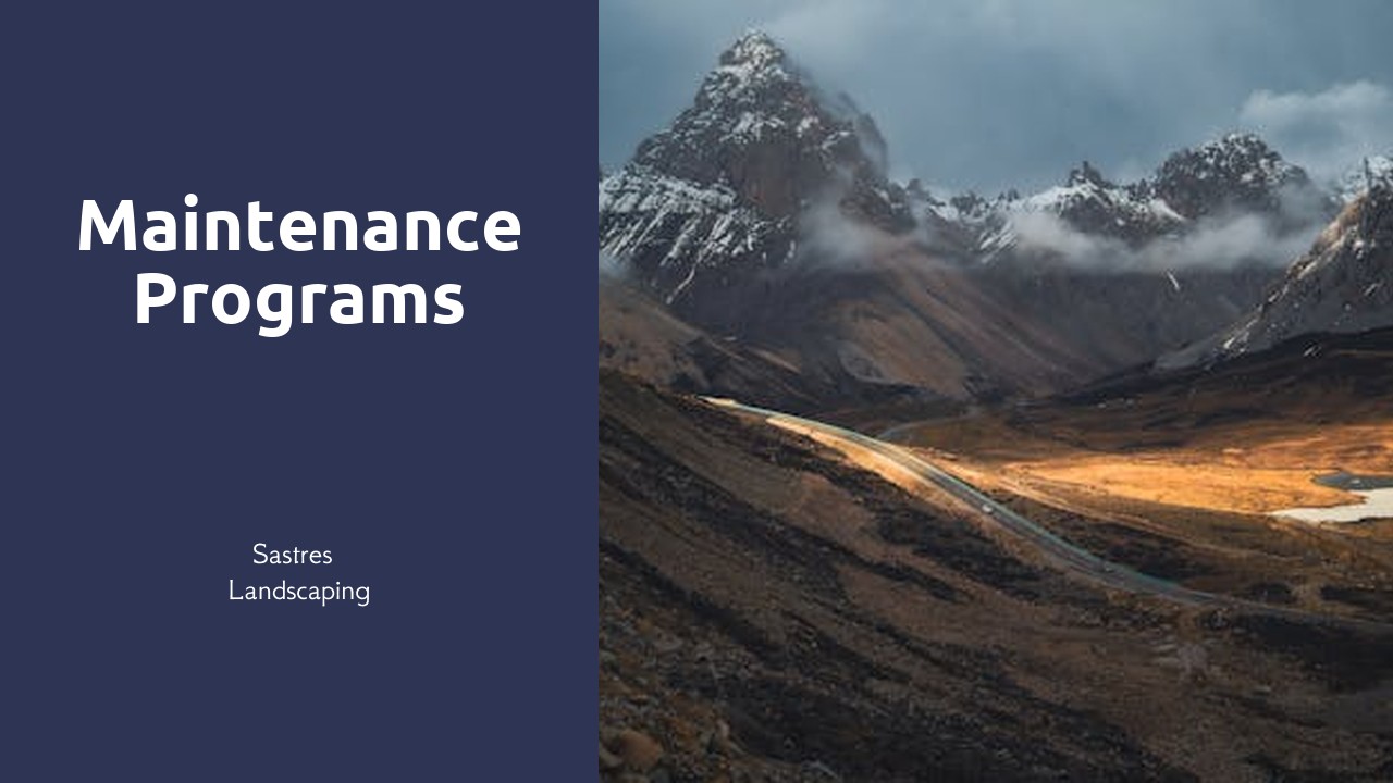 Maintenance Programs