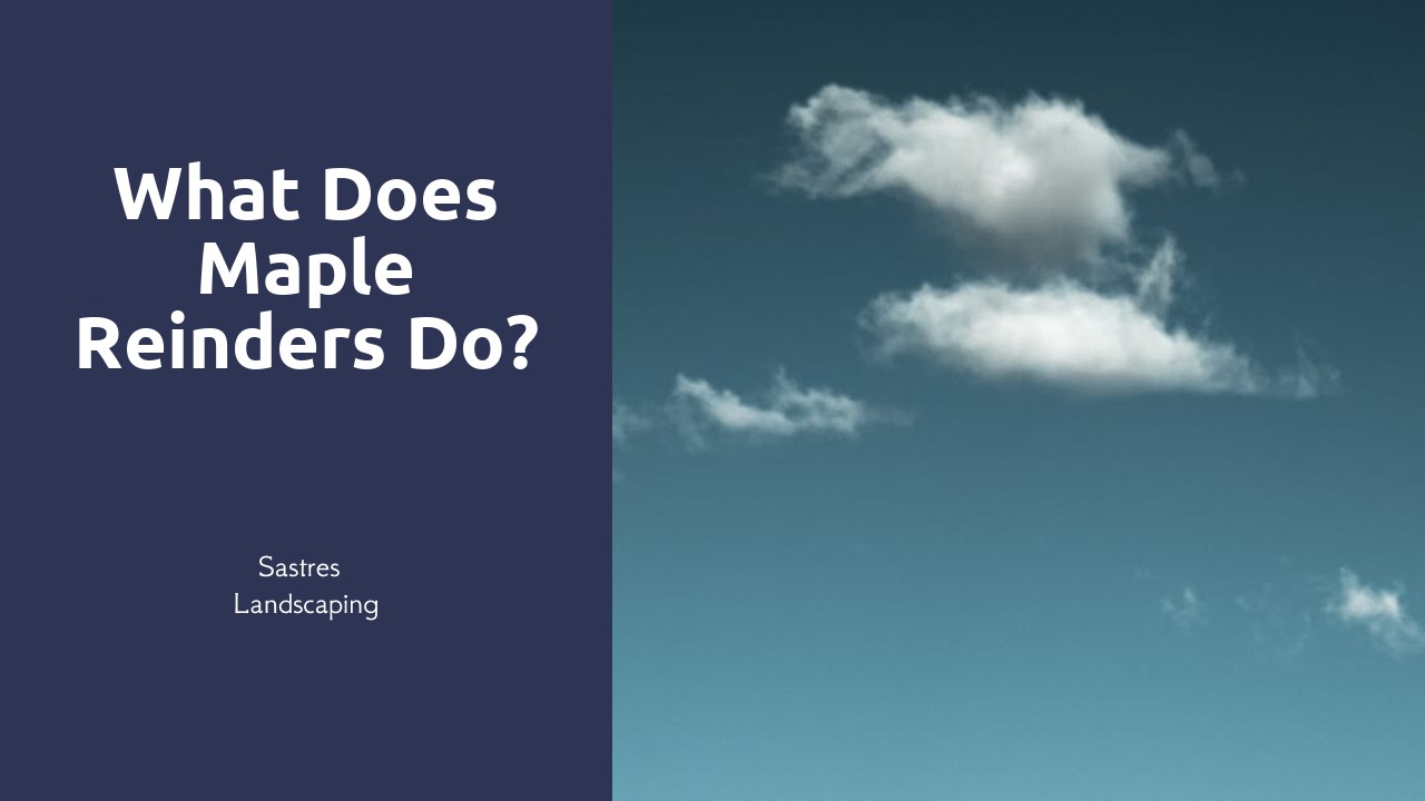 What does Maple Reinders do?